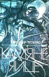 Обложка книги «Кам’яне яйце»