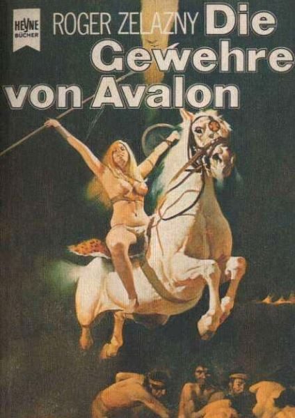 Обложка книги «Die Gewehre von Avalon»