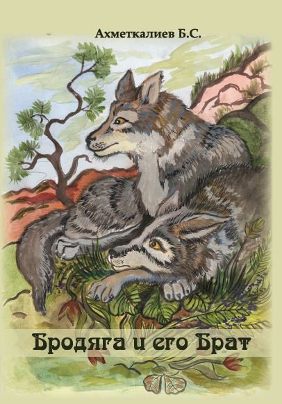 Обложка книги «Бродяга и его Брат»