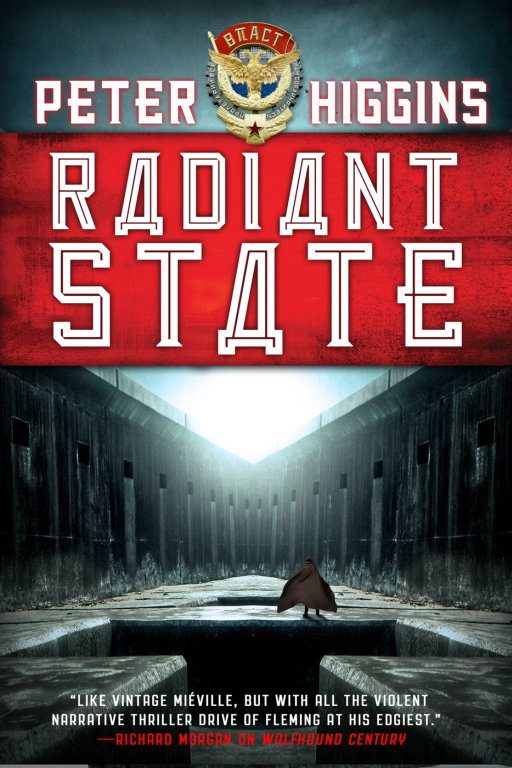 Обложка книги «Radiant State»
