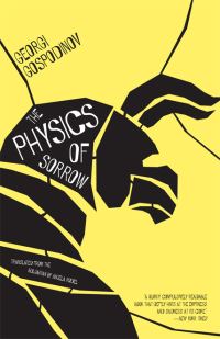Обложка книги «The Physics of Sorrow»