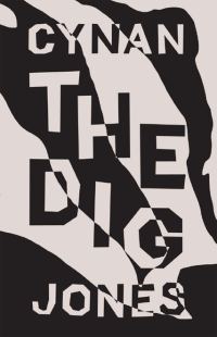 Обложка книги «The Dig»