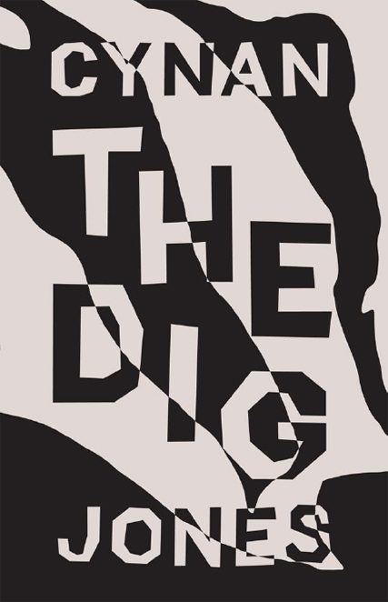 Обложка книги «The Dig»
