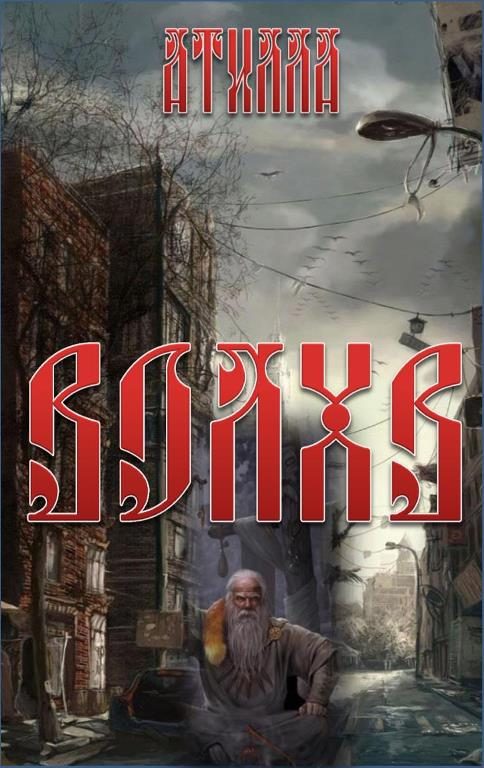 Обложка книги «Волхв»