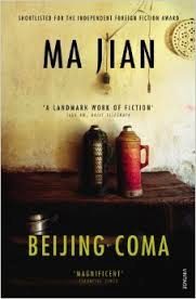 Обложка книги «Beijing Coma»