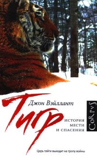 Обложка книги «Тигр»