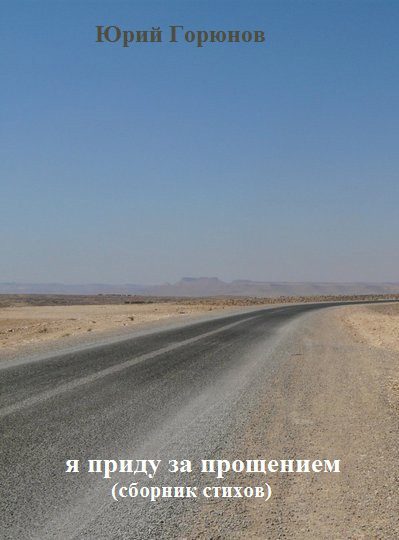 Обложка книги «Я приду за прощением»