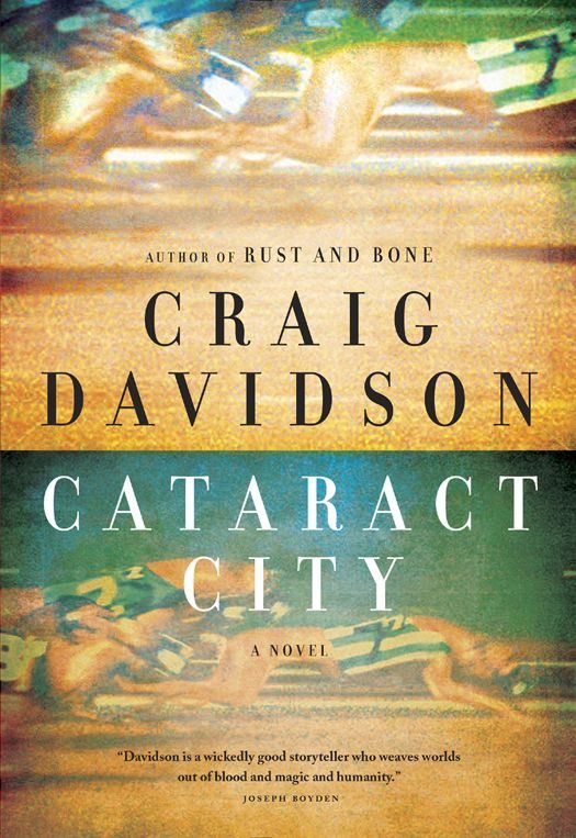 Обложка книги «Cataract City»