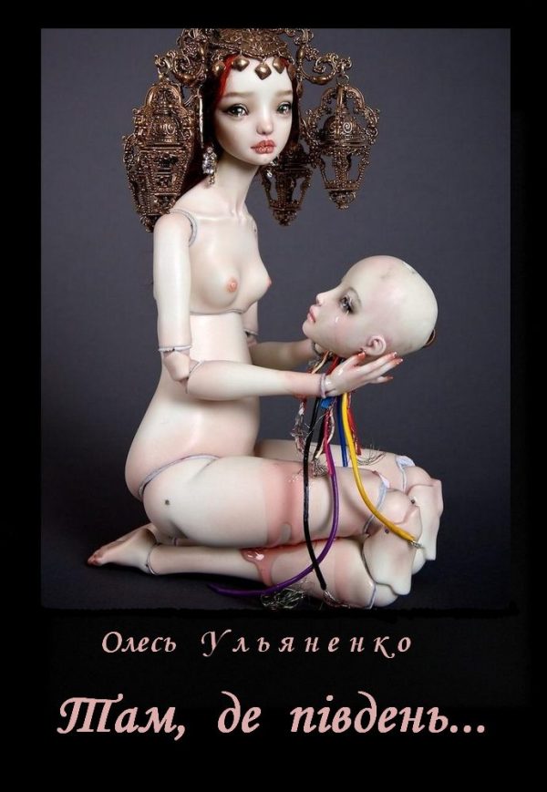 Обложка книги «Там, де південь...»