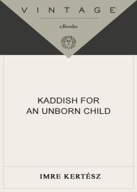 Обложка книги «Kaddish for an Unborn Child»