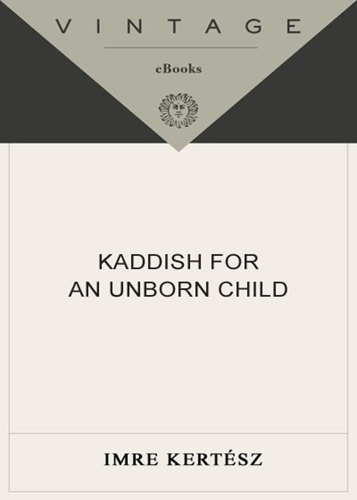 Обложка книги «Kaddish for an Unborn Child»