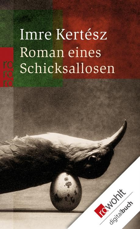Обложка книги «Roman eines Schicksallosen»
