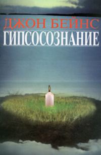 Обложка книги «Гипсосознание»