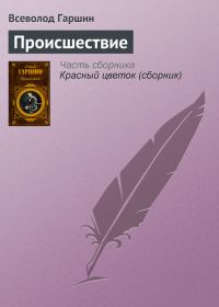 Обложка книги «Происшествие»