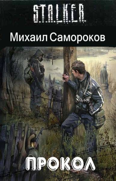 Обложка книги «Прокол»