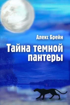 Обложка книги «Тайна темной пантеры»