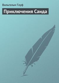 Обложка книги «Приключения Саида»