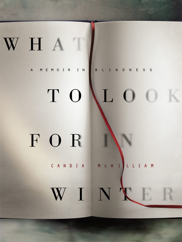 Обложка книги «What to Look for in Winter»