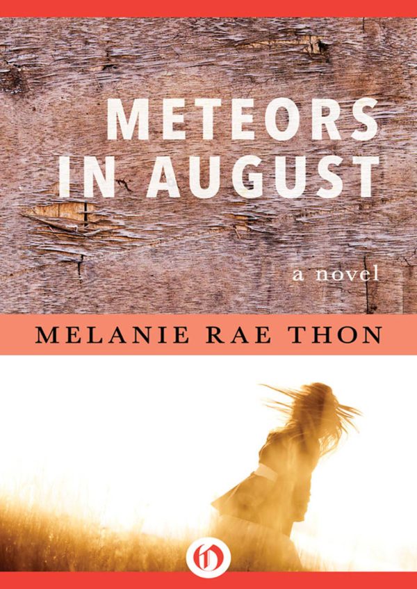 Обложка книги «Meteors in August»