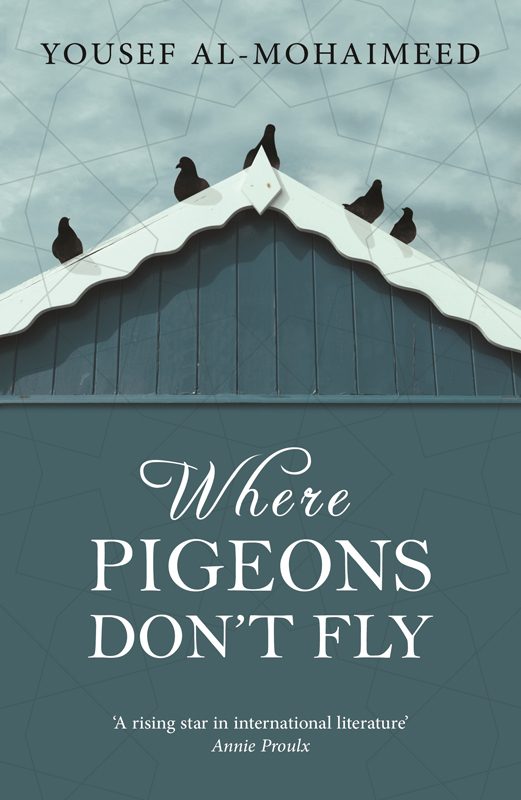 Обложка книги «Where Pigeons Don't Fly»