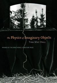Обложка книги «The Physics of Imaginary Objects»