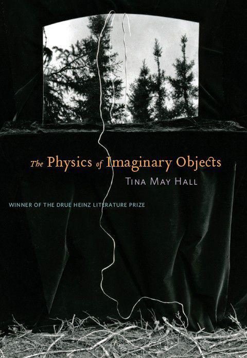 Обложка книги «The Physics of Imaginary Objects»