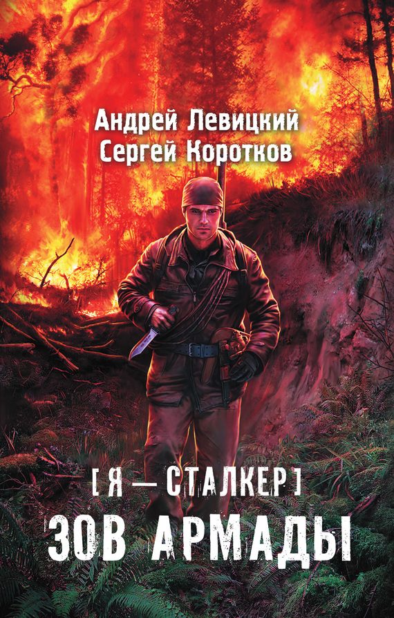 Обложка книги «Зов Армады»