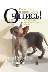 Обложка книги «Очнись! Выжить и преуспеть в грядущем экономическом хаосе»