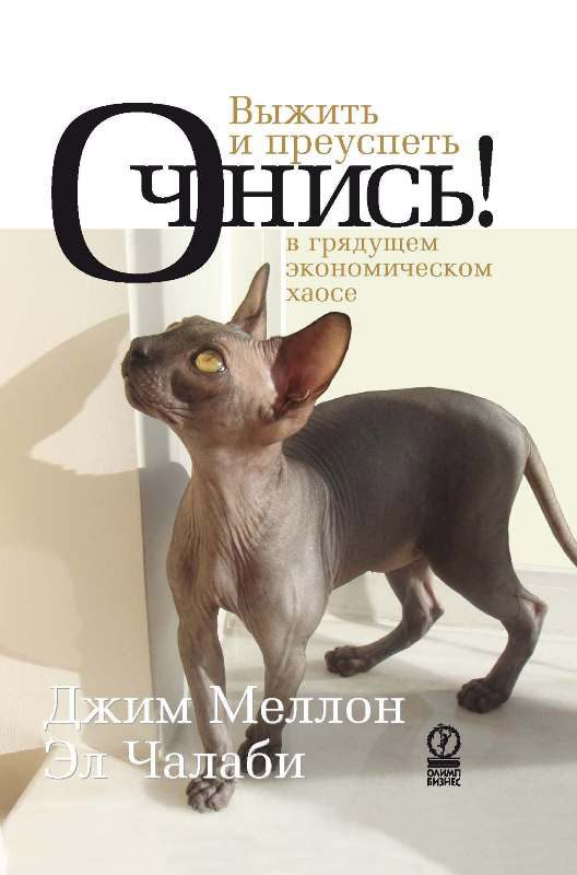 Обложка книги «Очнись! Выжить и преуспеть в грядущем экономическом хаосе»
