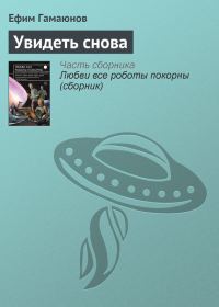 Обложка книги «Увидеть снова»