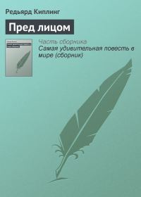 Обложка книги «Пред лицом»