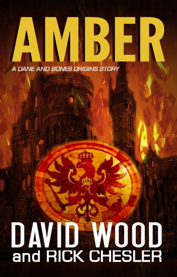Обложка книги «Amber»
