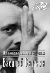 Обложка книги «Прикосновение к идолам»