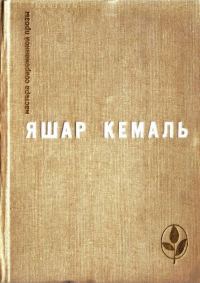 Обложка книги «Если убить змею»