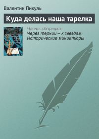 Обложка книги «Куда делась наша тарелка»