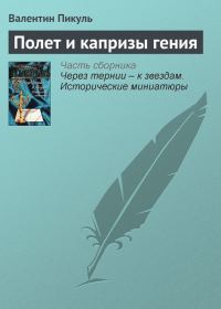 Обложка книги «Полет и капризы гения»
