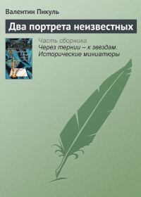 Обложка книги «Два портрета неизвестных»