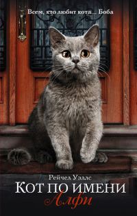 Обложка книги «Кот по имени Алфи»
