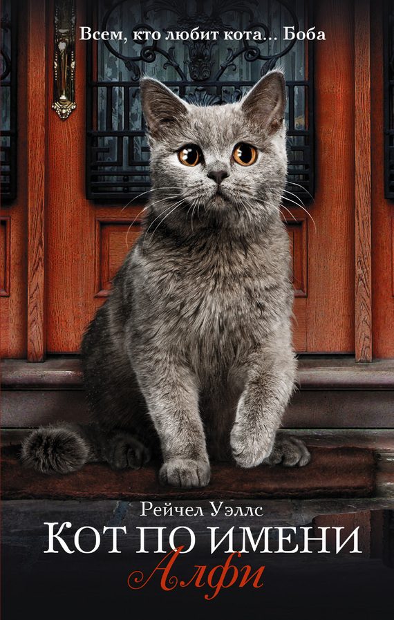 Обложка книги «Кот по имени Алфи»