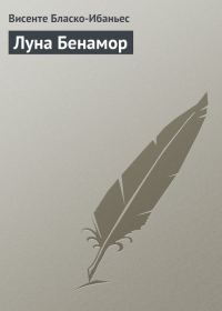 Обложка книги «Луна Бенамор»