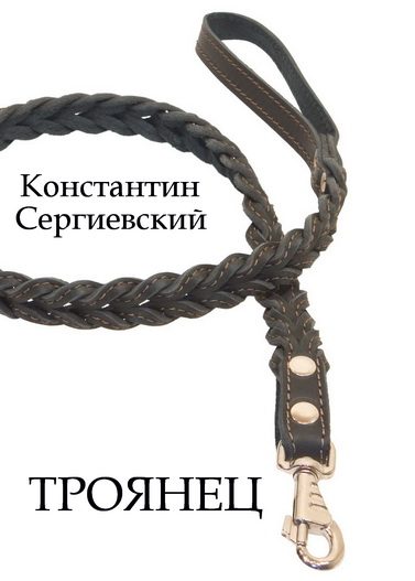 Обложка книги «Троянец»