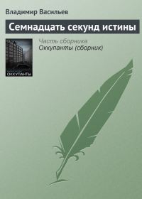 Обложка книги «Семнадцать секунд истины»