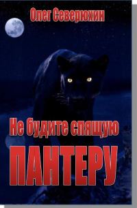 Обложка книги «Не будите спящую пантеру»