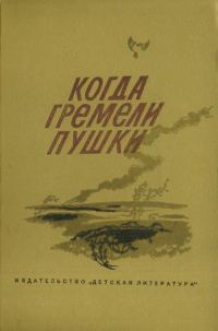 Обложка книги «Когда гремели пушки»