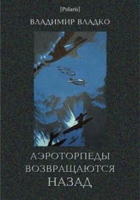 Обложка книги «Аэроторпеды возвращаются назад»