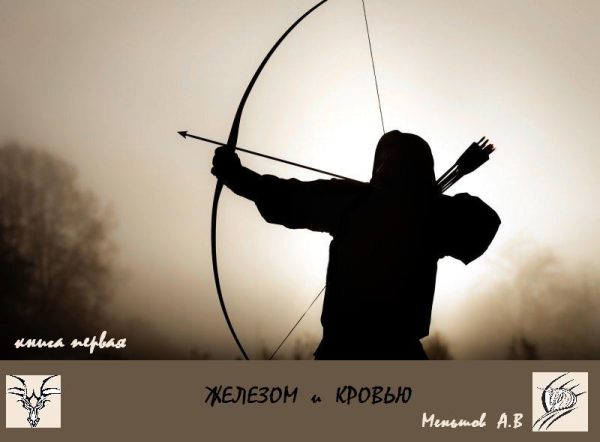 Обложка книги «Железом и кровью»