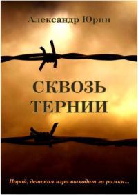 Обложка книги «Сквозь тернии»