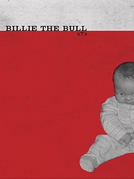Обложка книги «Billie the Bull»