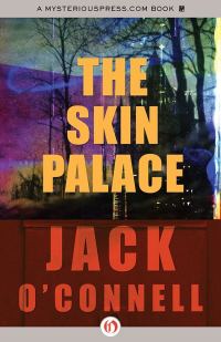 Обложка книги «The Skin Palace»