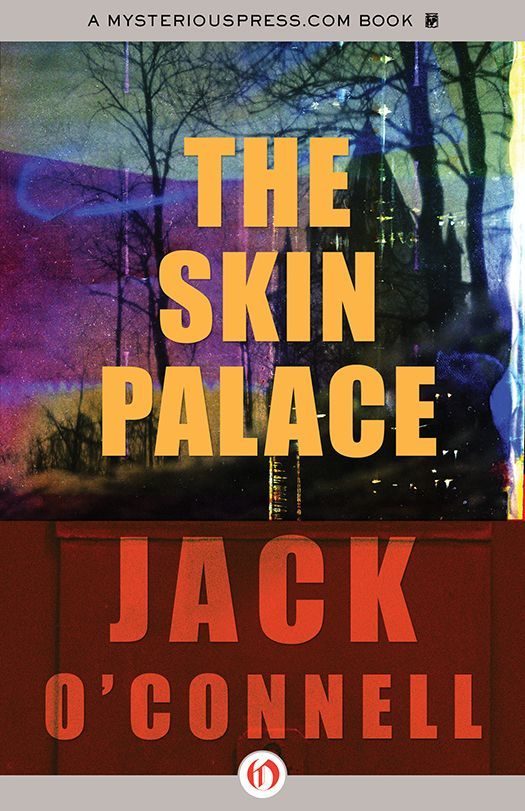 Обложка книги «The Skin Palace»